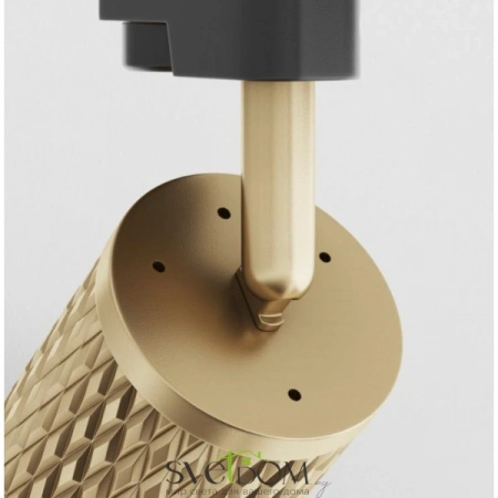 TR011-1-GU10-G Maytoni