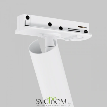 TR141-1-6W4K-M-W Maytoni