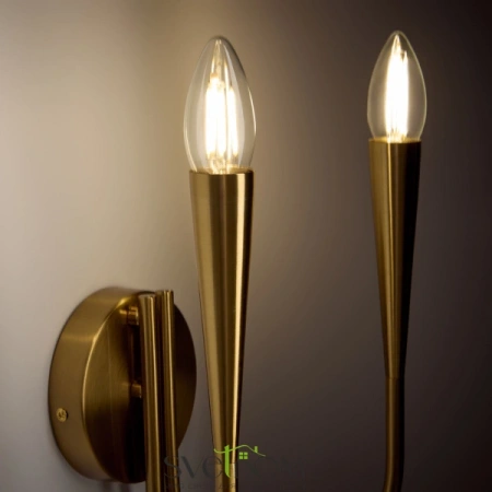 Настенные светильники FR5253WL-02BS Freya | Svetdom.by