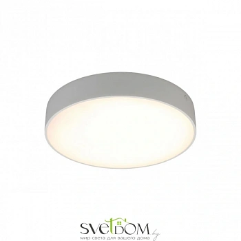 Светильник настенно-потолочный Aployt  APL.0113.09.24