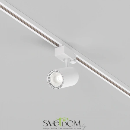 TR029-3-10W4K-W-W Maytoni