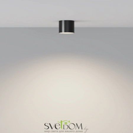 Потолочные светильники Maytoni C096CL-GX53-B от Магазина Svetdom.by