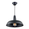 Подвесной светильник Citilux Эдисон CL450204 CITILUX