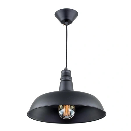 Подвесной светильник Citilux Эдисон CL450204 CITILUX