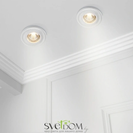 Встраиваемые светильники Maytoni DL283-1-01-W от Магазина Svetdom.by