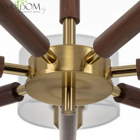 Люстры подвесныеCL436172 CITILUX | Svetdom.by