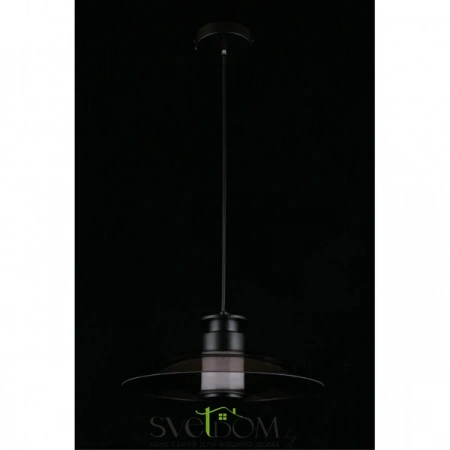 Подвесные светильники Aployt APL.648.06.10 от Магазина Svetdom.by