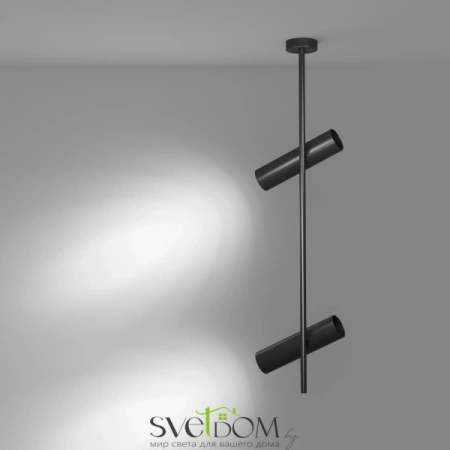 Потолочные светильники Maytoni C021CL-02B от Магазина Svetdom.by