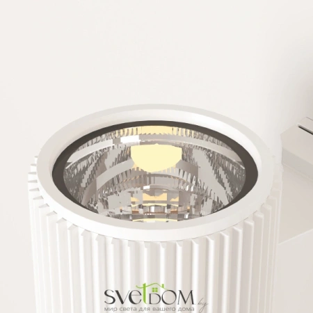 Настенный светильник (бра) Outdoor O419WL-01W Maytoni