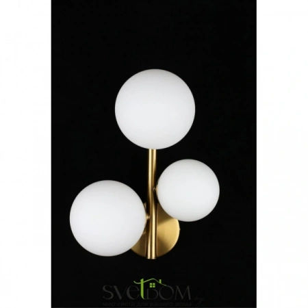 Настенные светильники APL.314.01.03 Aployt | Svetdom.by
