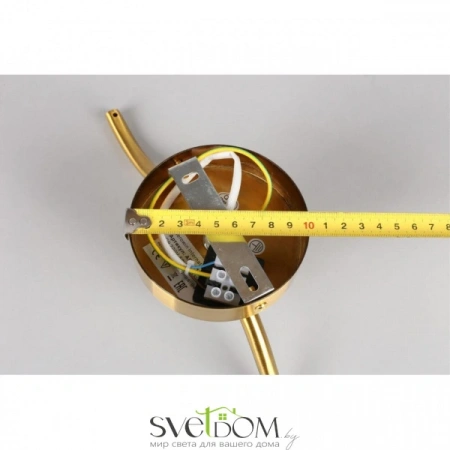 Настенные светильники APL.312.11.01 Aployt | Svetdom.by