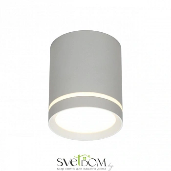 Светильник настенно-потолочный Omnilux  OML-102429-05