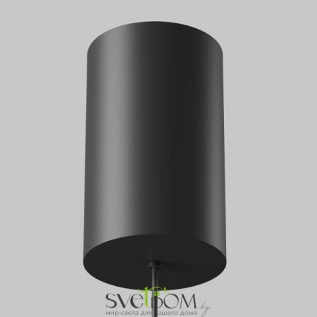 Подвесные светильники Maytoni P102PL-12W4K-B от Магазина Svetdom.by