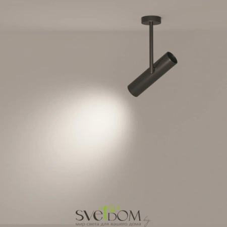 Фото Потолочные светильники Maytoni C020CL-01B Потолочные светильники Maytoni C020CL-01B от Магазина Svetdom.by
