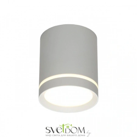 Настенно-потолочные светильники Omnilux OML-102429-05 от Магазина Svetdom.by