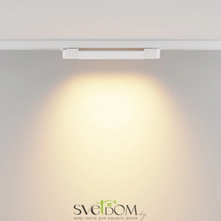 Трековый светильник Technical TR196-3-10W2.7K-W Maytoni