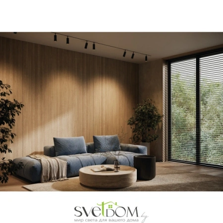 Трековый светильник Technical TR211-1-12W3K-Z-B Maytoni
