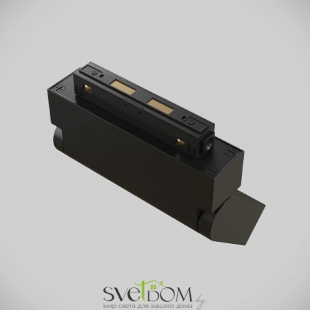 TR013-2-10W3K-B Maytoni