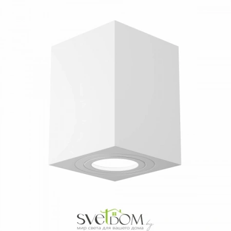 Потолочные светильники Maytoni C017CL-01W от Магазина Svetdom.by