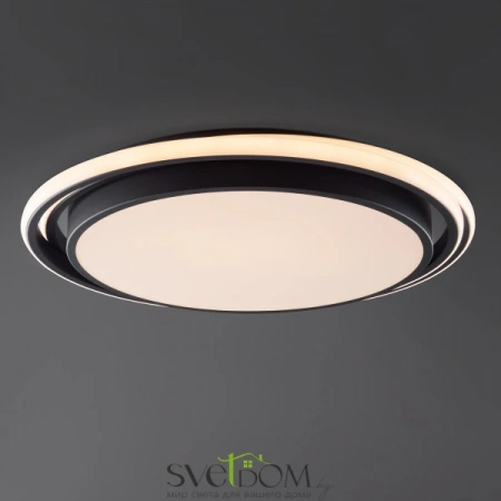 Фото Светильники Freya FR10031CL-L98B Светильники Freya FR10031CL-L98B от Магазина Svetdom.by