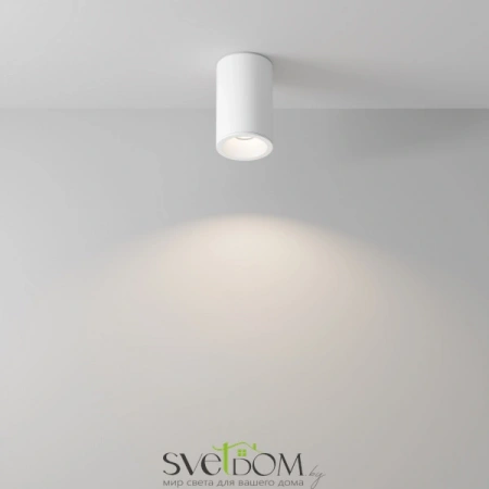 Потолочные светильники Maytoni C029CL-01-S-W от Магазина Svetdom.by