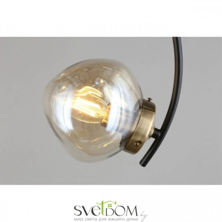 Люстры потолочныеOML-95307-06 Omnilux | Svetdom.by