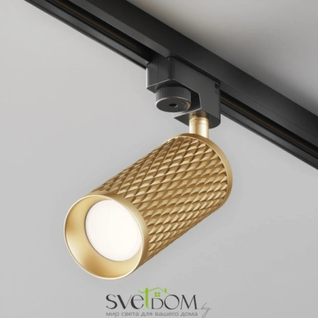 TR011-1-GU10-G Maytoni