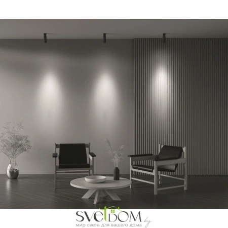 Потолочные светильники Maytoni C055CL-L12W4K-Z-B от Магазина Svetdom.by