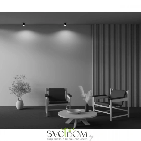 Фото Потолочные светильники Maytoni C008CW-01B Потолочные светильники Maytoni C008CW-01B от Магазина Svetdom.by