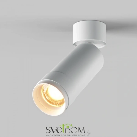 Потолочные светильники Maytoni C055CL-L12W2.7K-Z-W от Магазина Svetdom.by