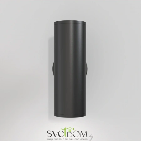 Настенные светильники C068WL-02B Maytoni | Svetdom.by