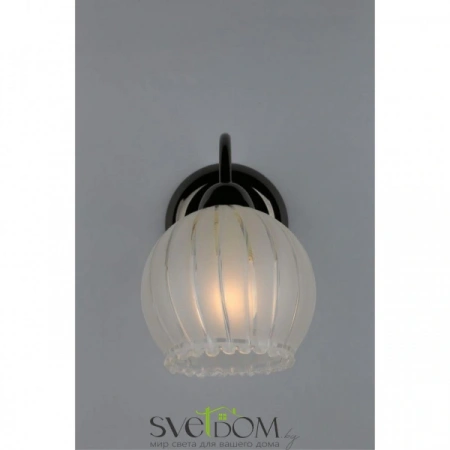 Настенные светильники OML-31801-01 Omnilux | Svetdom.by