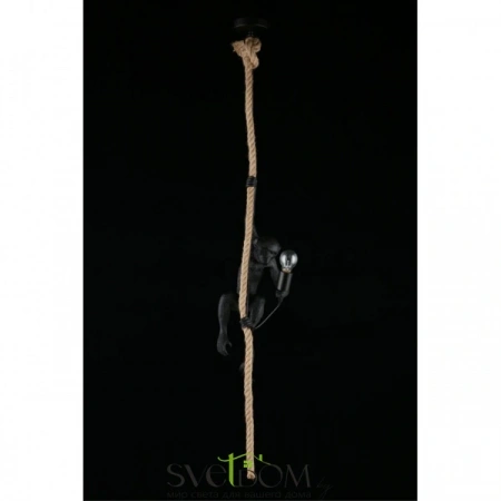 Подвесные светильники Aployt APL.309.16.01 от Магазина Svetdom.by