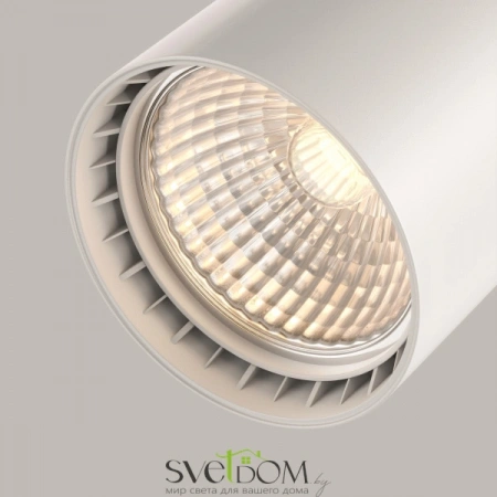 TR003-1-10W3K-S-W Maytoni