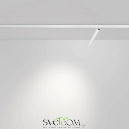 TR141-1-6W4K-M-W Maytoni