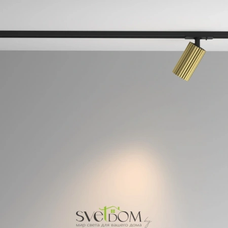 TR218-1-GU10-BS Maytoni