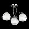 Потолочная люстра Citilux Лайма CL155131 CITILUX