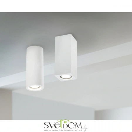 Потолочные светильники Maytoni C011CL-01W от Магазина Svetdom.by