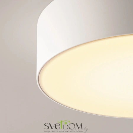 Потолочные светильники Maytoni O431CL-L30W3K от Магазина Svetdom.by