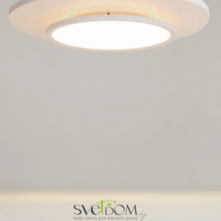 Потолочные светильники Maytoni MOD426CL-L43WK1 от Магазина Svetdom.by