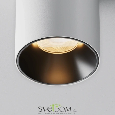 Потолочные светильники Maytoni C064CL-8W2.7K-RD-WB от Магазина Svetdom.by