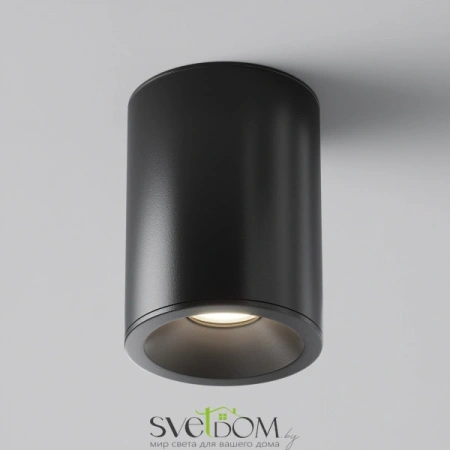 Потолочные светильники Maytoni C029CL-01B от Магазина Svetdom.by