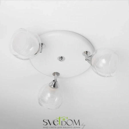 Фото CL158131 CITILUX Люстры потолочныеCL158131 CITILUX | Svetdom.by