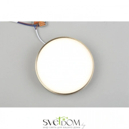 Настенно-потолочные светильники Aployt APL.0113.29.18 от Магазина Svetdom.by