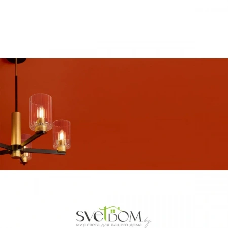 Потолочные светильники Freya FR2051CL-05BBS от Магазина Svetdom.by