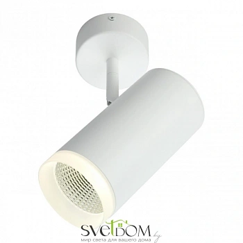 Светильник настенно-потолочный Omnilux  OML-102609-20