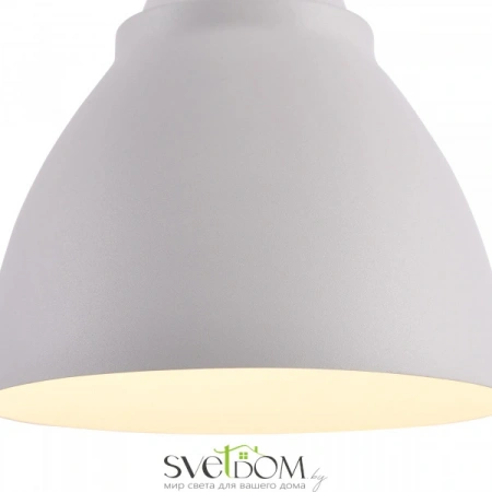 Фото Подвесные светильники Maytoni P534PL-01W Подвесные светильники Maytoni P534PL-01W от Магазина Svetdom.by