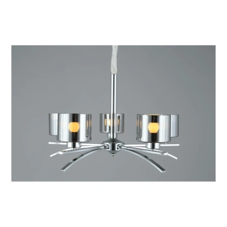 Люстра подвесная Omnilux  OML-55803-05 Omnilux