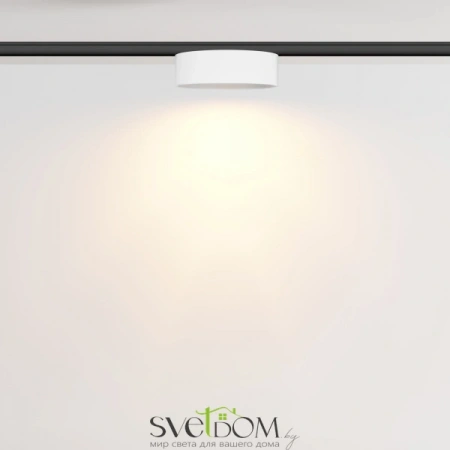 TR189-1-12W2.7K-BW Maytoni