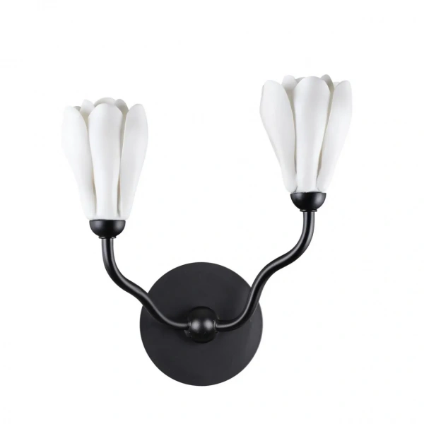 Настенные светильники 5090/2W Odeon Light | Svetdom.by